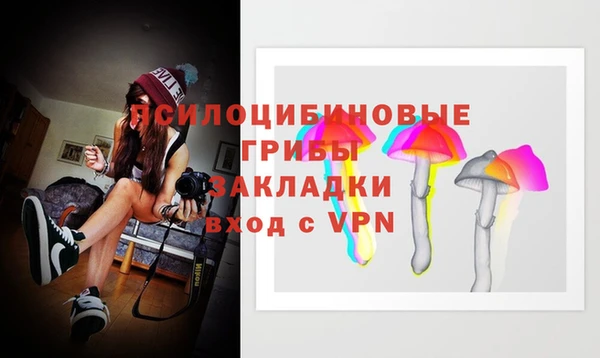 соль ск Алзамай