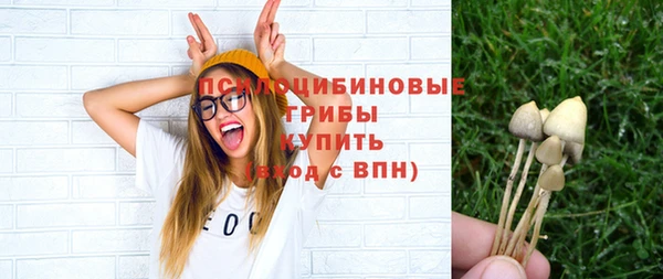 соль ск Алзамай